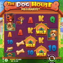 Cazeus - The Dog House Megaways - 117649 Gevinstlinjer